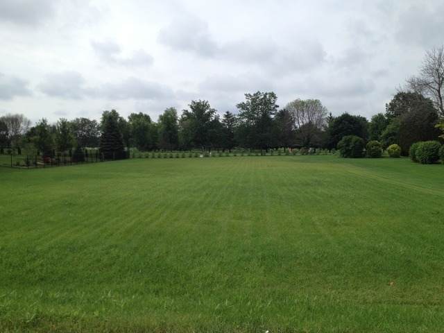 11415 Reed Road - Photo 1