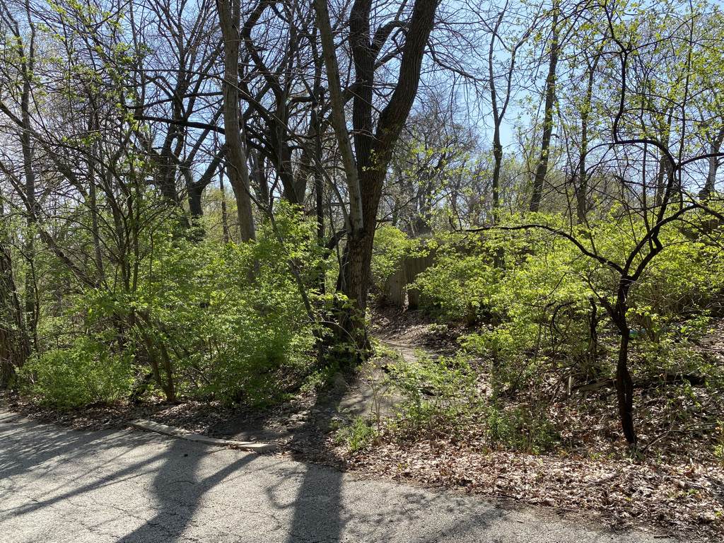 3220 Oldwoods Drive - Photo 1