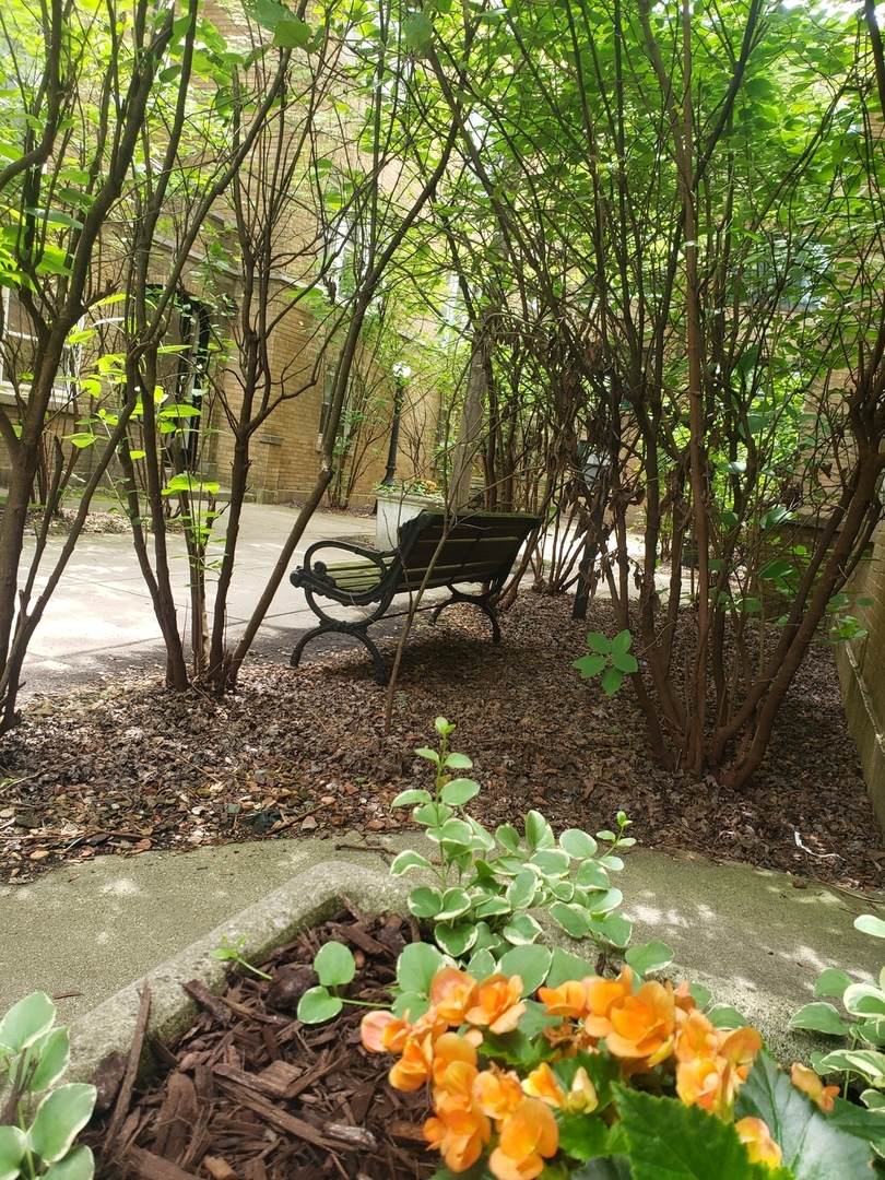 679 Wrightwood Avenue - Photo 1