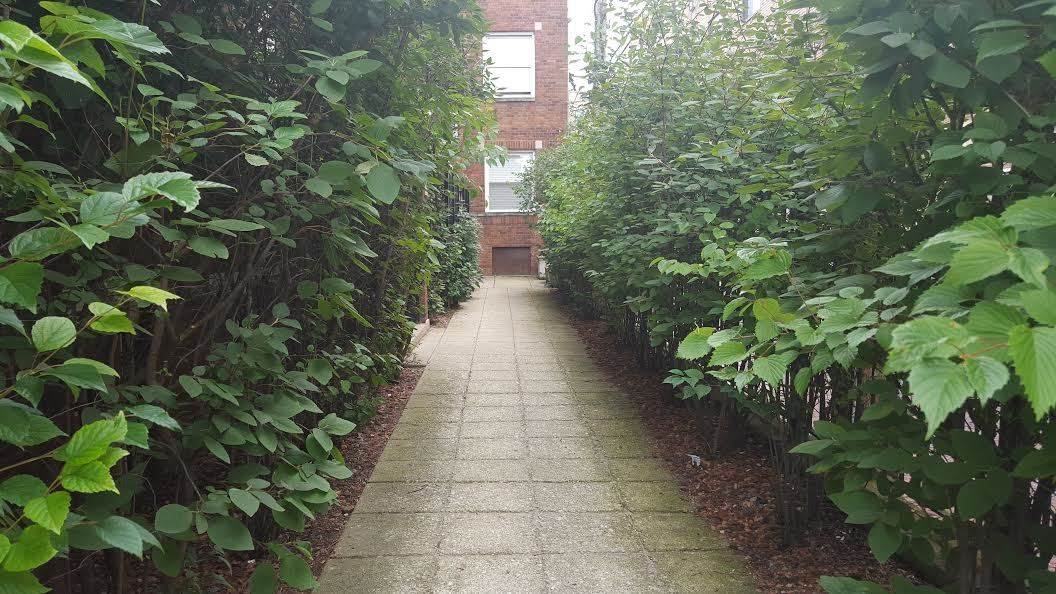 519 Deming Place - Photo 1