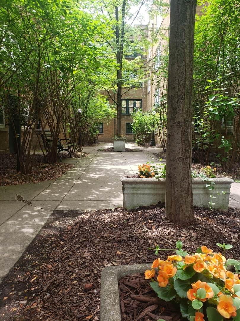 679.5 Wrightwood Avenue - Photo 1
