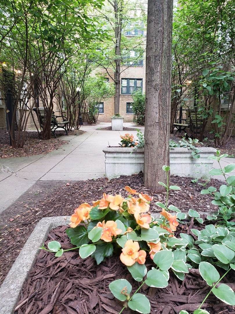 681 Wrightwood Avenue - Photo 1