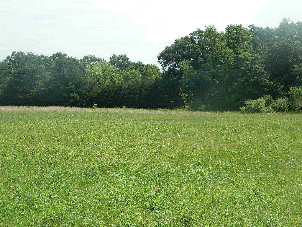 lot 25 16000 W Road - Photo 1