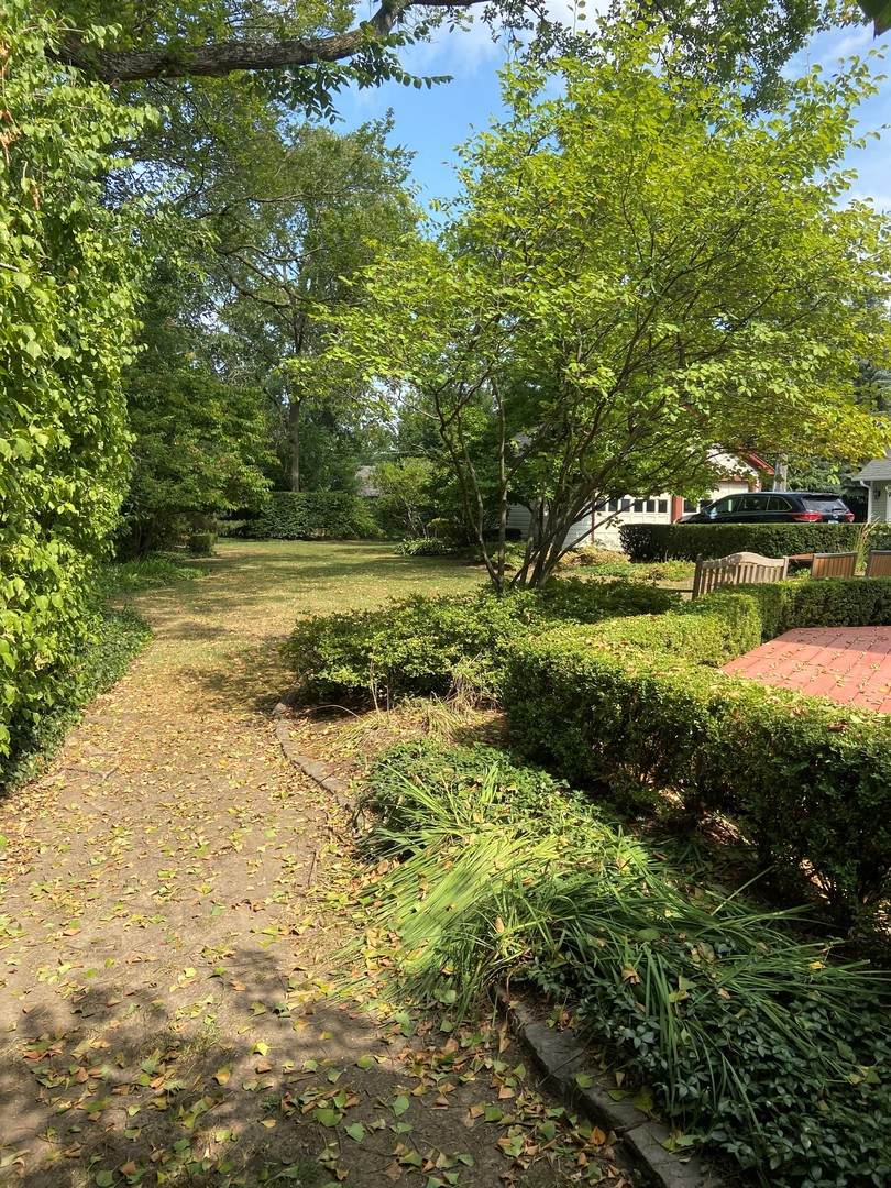 121 Walnut Street - Photo 1