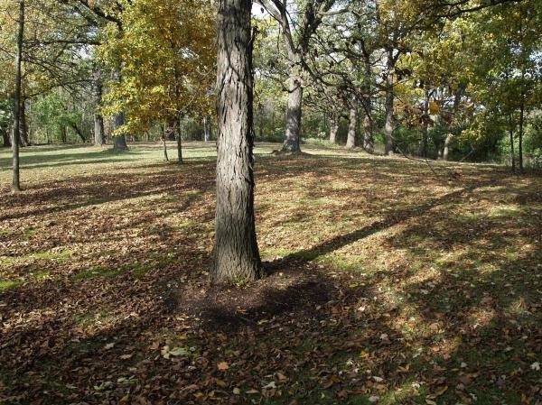 2000 Lot 2 Ela Road - Photo 1