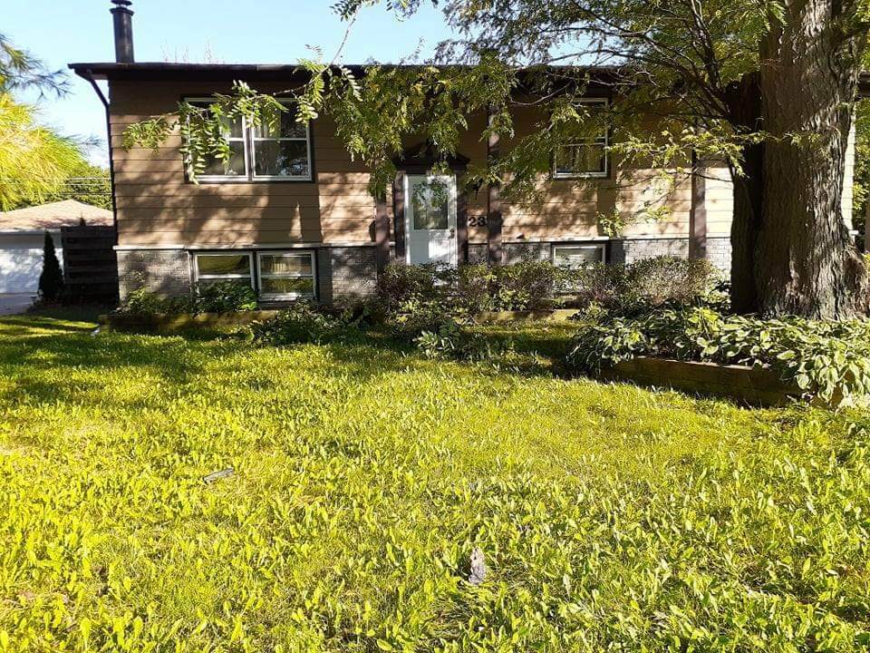 2329 Jackson Street - Photo 1