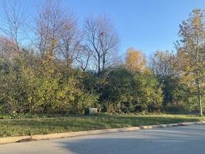 21405 Woodland Way - Photo 1