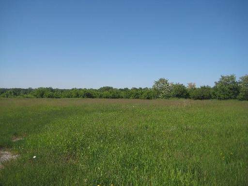 26001 Rand Road - Photo 1