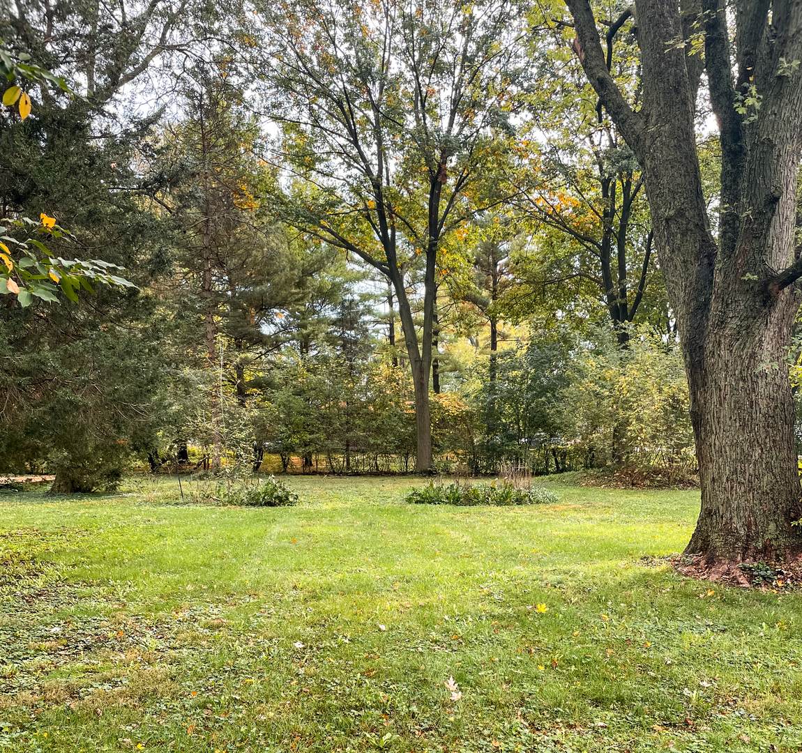 1760 Sunnyview Road - Photo 1