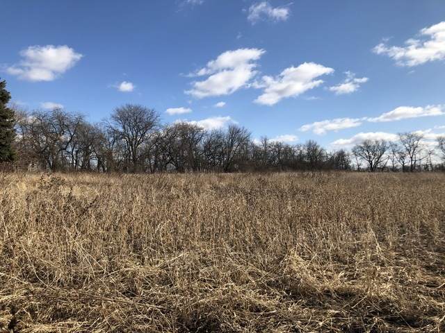 1022 Wolf Crossing Road - Photo 1