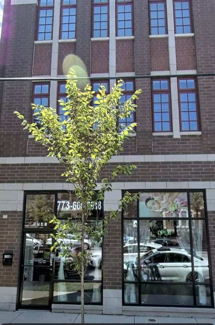 3748 Ashland Avenue - Photo 1