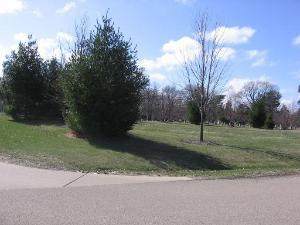 1104 Winterwheat Lane - Photo 1