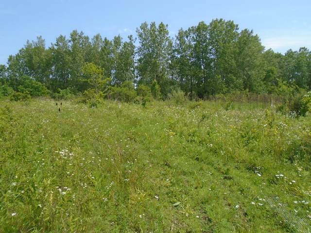 39155 Dilleys Road - Photo 1