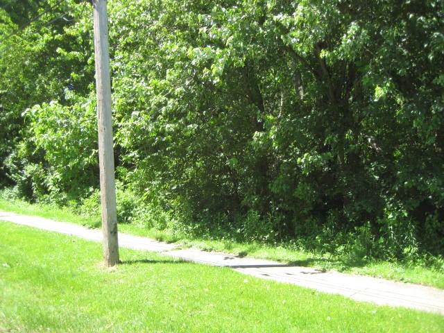 Lot B School Street - Photo 1