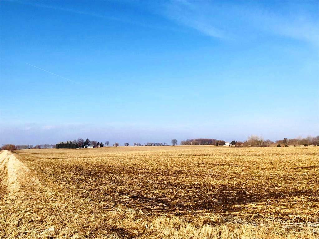 000 New Lebanon Road - Photo 1