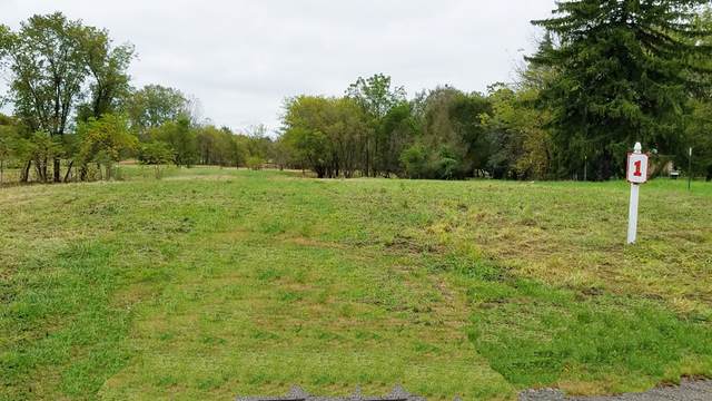 Lot 1 Chicago Avenue - Photo 1