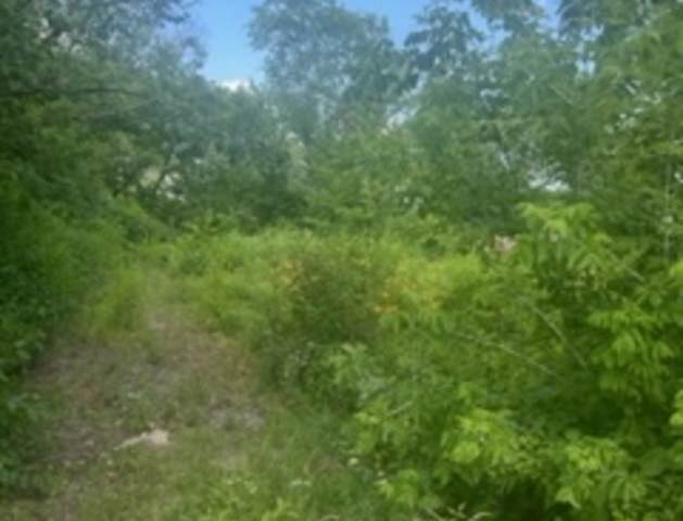 7217 Clarendon Hills Road - Photo 1