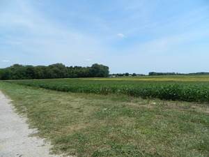 7000 East Block Road - Photo 1