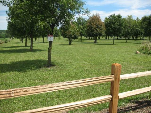 lot 34 S Bowgren Circle - Photo 1