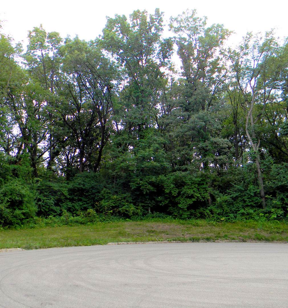 7111 Forest Oak Drive - Photo 1