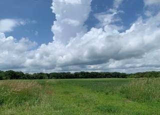 Parcel L Klemme Road - Photo 1