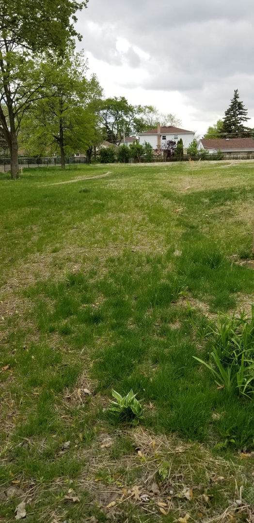 6729 Beckwith Road - Photo 1