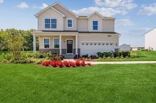 6556 Butterfly Drive - Photo 1