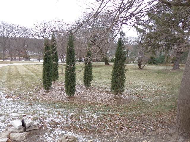 228 Crissey Avenue - Photo 1