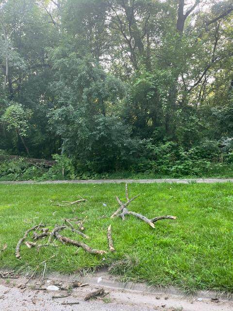 13536 Central Park Avenue - Photo 1