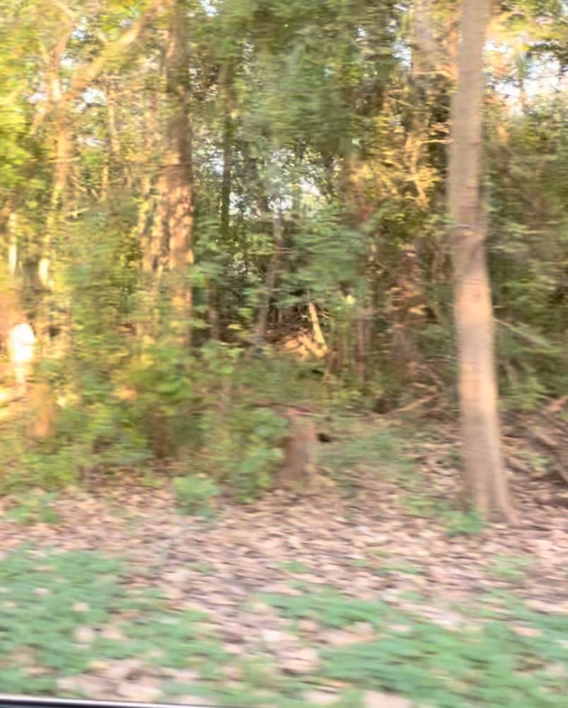0 Arthur Lot 32 Street - Photo 1