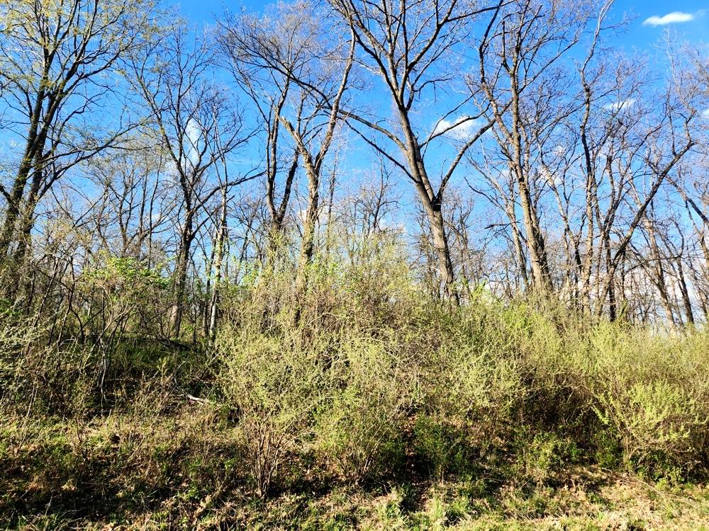 Lot 516 Brandywine Circle - Photo 1