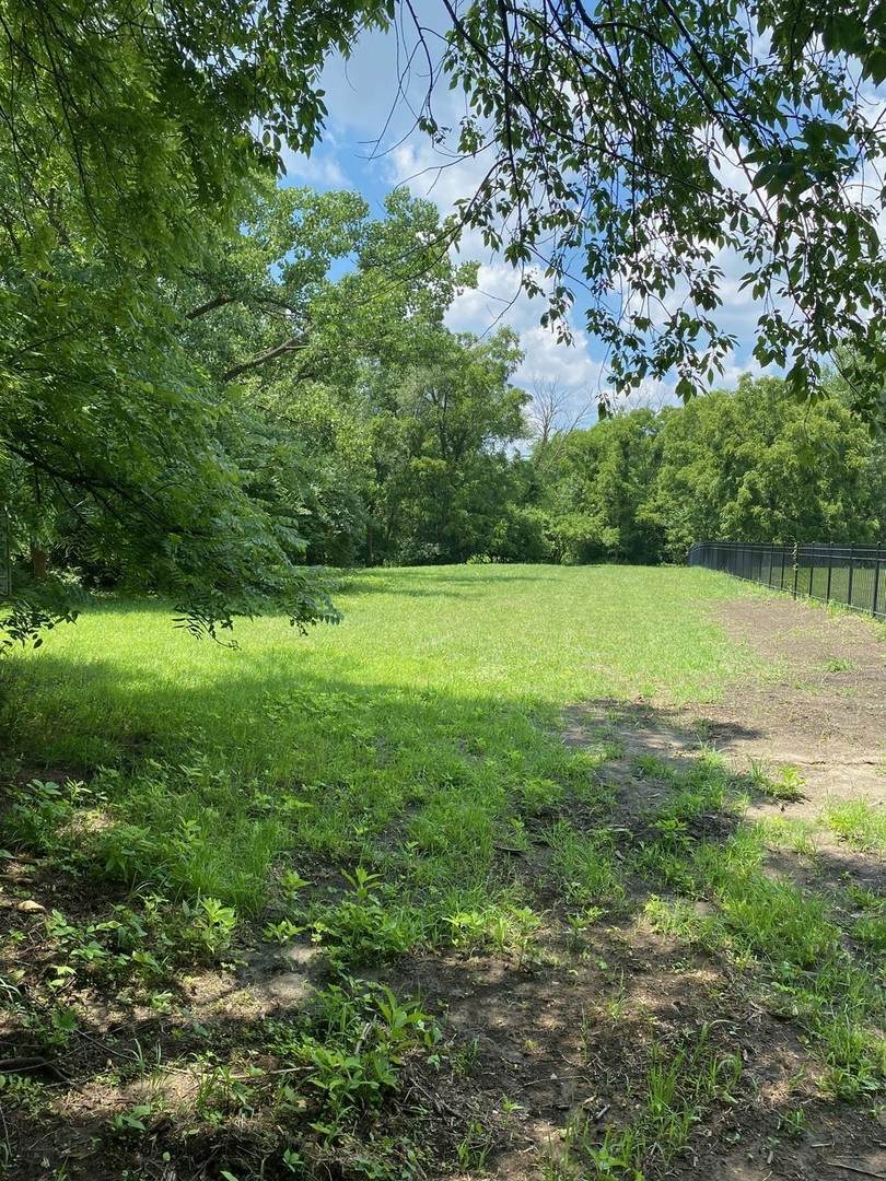 985 Vine Street - Photo 1