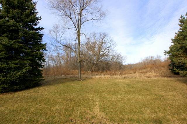 39976 Jonathan Knolls Lane - Photo 1
