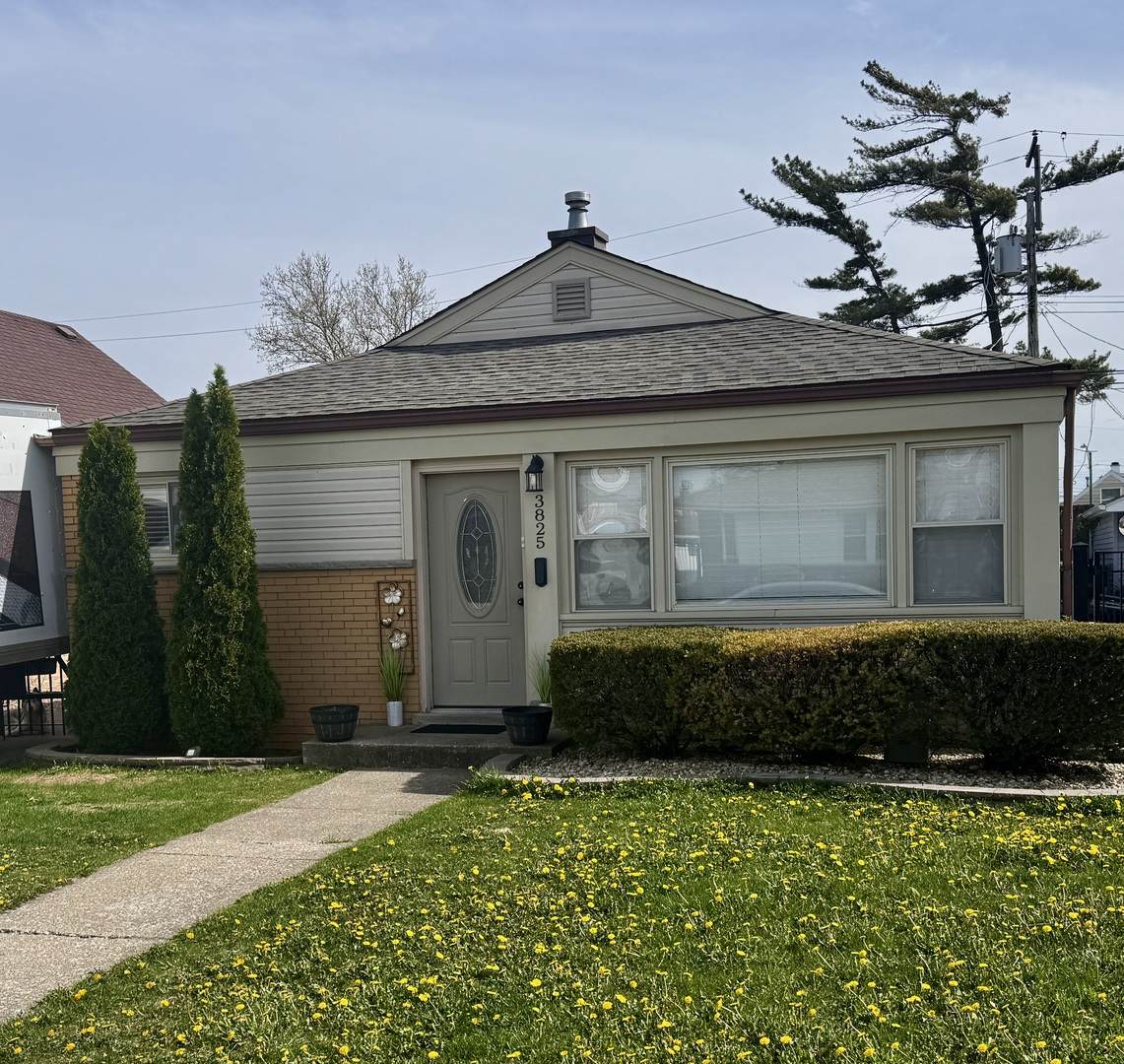 3825 Pippin Street - Photo 1