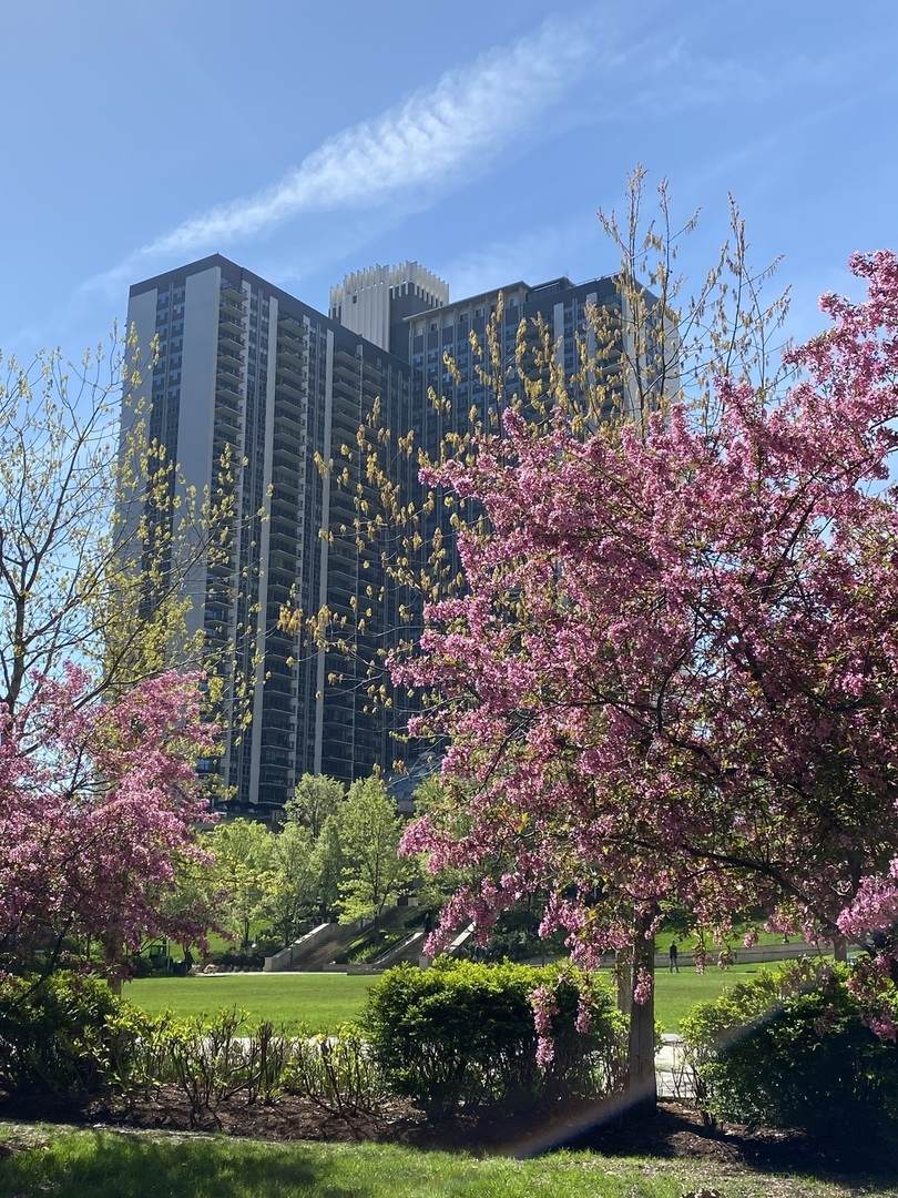 400 Randolph Street - Photo 1