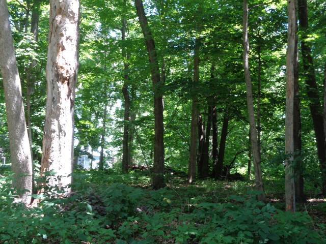 26XX Tuck A Way Trail - Photo 1