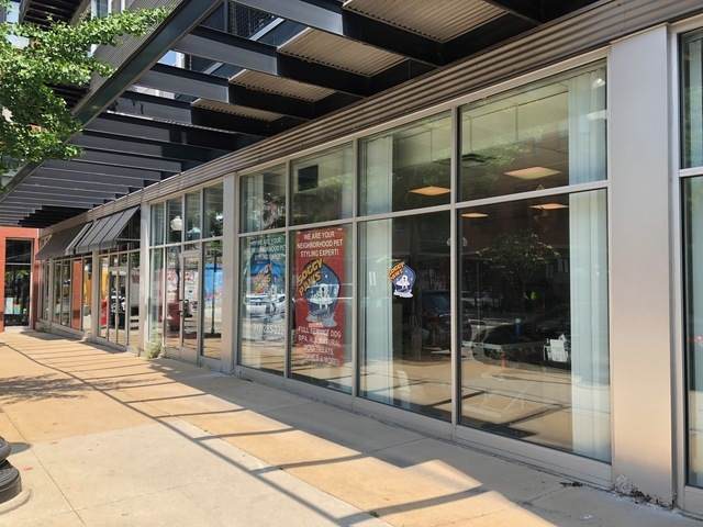 1609 Halsted Street - Photo 1