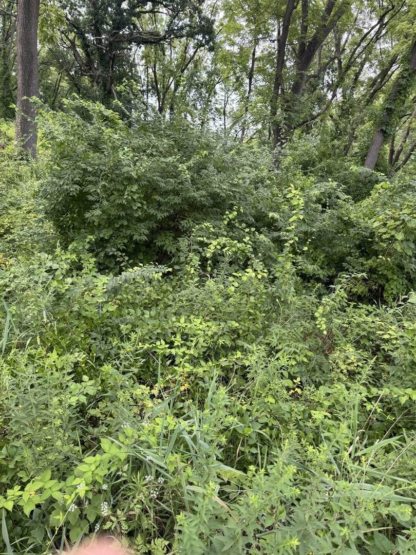 10 Chateau Drive - Photo 1