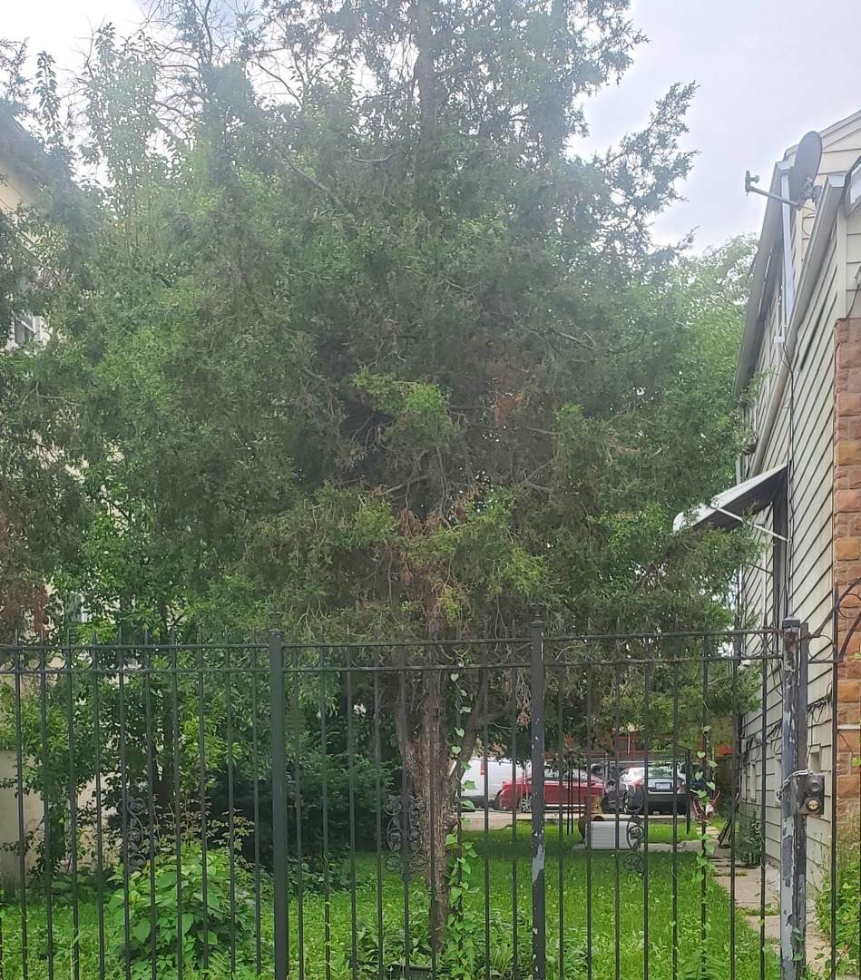 1748 Harding Avenue - Photo 1