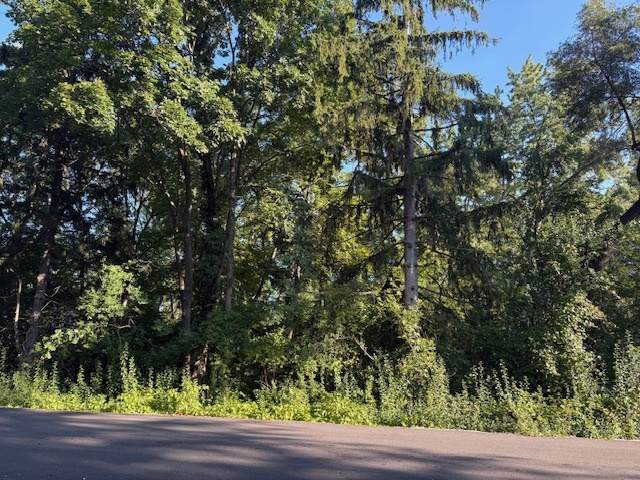 25118 Catherine Drive - Photo 1