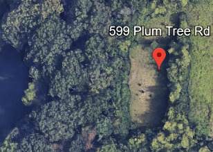 599 Plum Tree Road - Photo 1