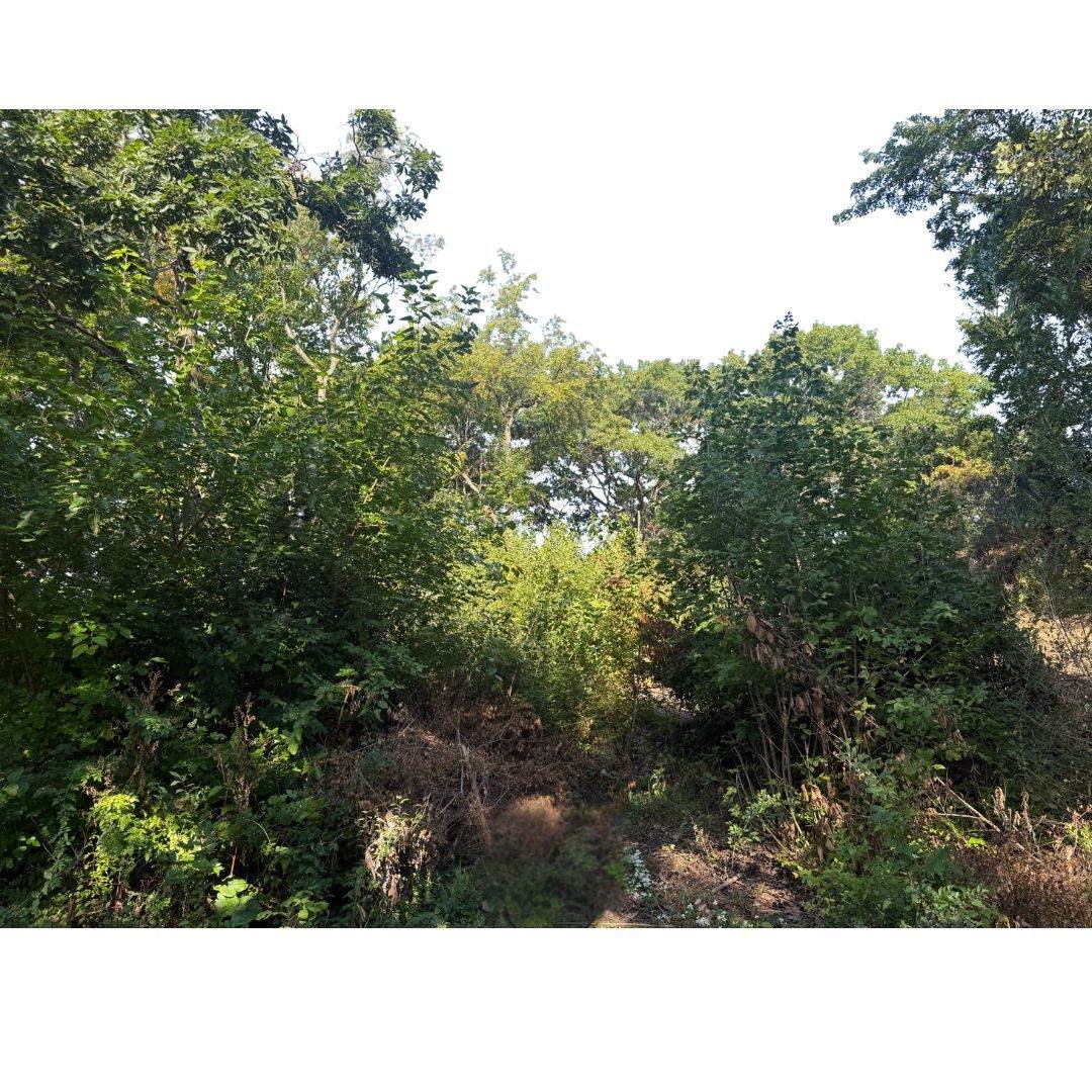 2905 Rose Marie Drive - Photo 1