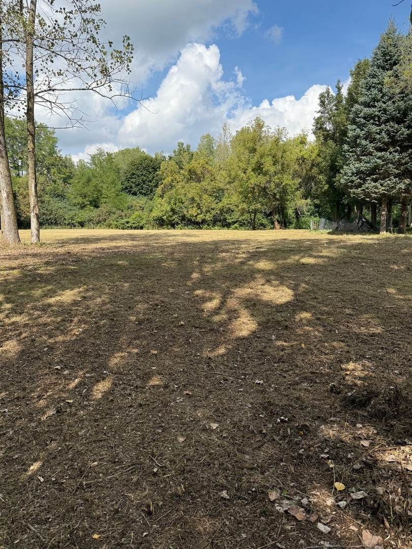 6421 Collier Circle - Photo 1