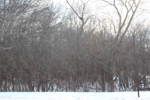 930 N Fairfield Road - Photo 1