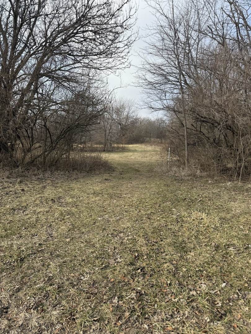 Lots 2, 3 and 4 Burr Oaks Lane - Photo 1