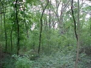 35W247 Fox River Drive - Photo 1