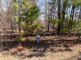 Lot 244 Parrish Ridge Lane - Photo 1