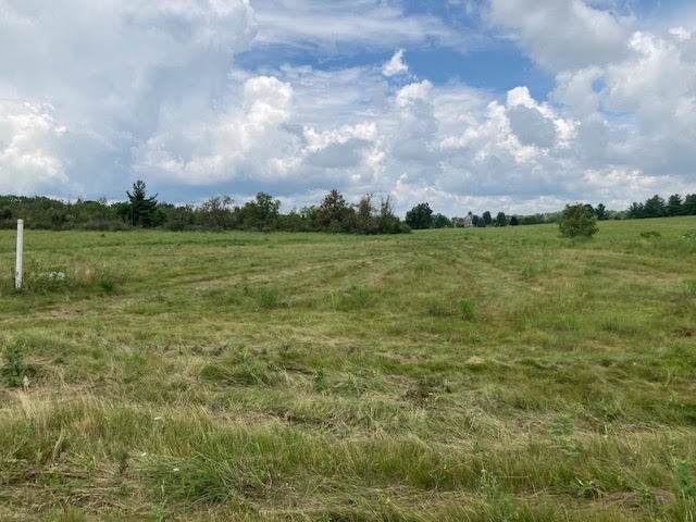 Lot #33 Longwood Drive - Photo 1