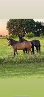 30113 1900 North Avenue - Photo 69