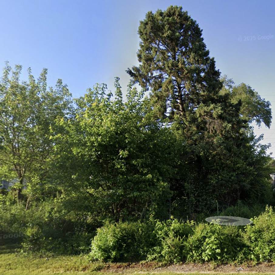 10 Edison Road - Photo 1